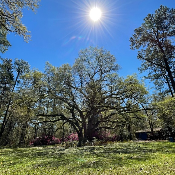 Meet your Posher, Richard - Picture 1 of 1